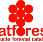 catforest